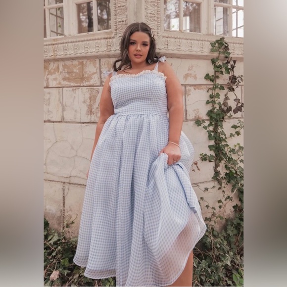 IN SEARCH OF…JessaKae Blue Gingham & Lace Priscilla Organza Midi Dress, Size XL - Picture 3 of 3
